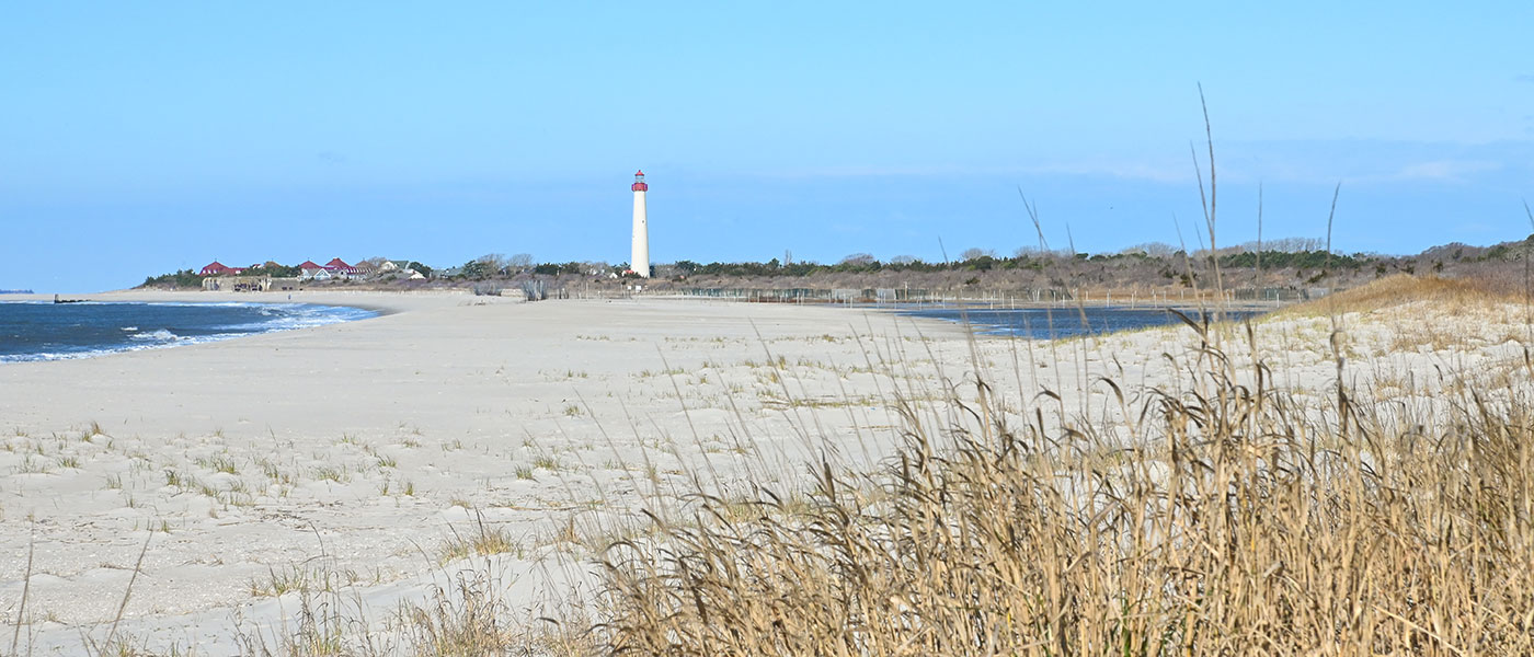 Lighthouse seen from the Cove beach in the off season. The beach grass is dried